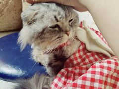 -平行世界·猫咖(首经贸店)
