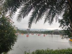 -枫香湖儿童公园