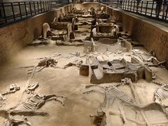 -洛阳周王城天子驾六博物馆