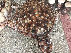 -白沙湾海滩