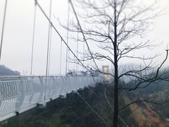 -梅岭月亮湾山体公园
