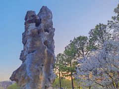 -同济大学(嘉定校区)