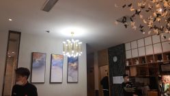-京世沙龙