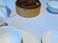 -食为先(Shark Fin)