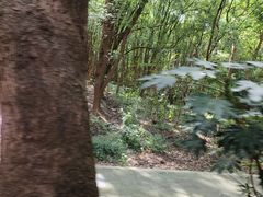 -同里国家湿地公园