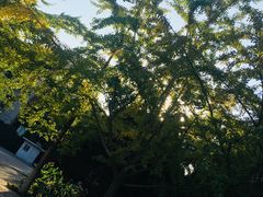 -辽宁大学(崇山校区)