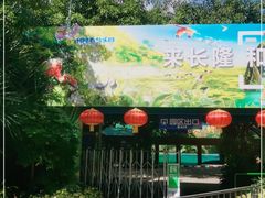 -广州长隆飞鸟乐园