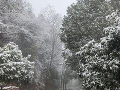 -东天目山风景区