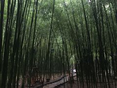 -竹泉村旅游度假区