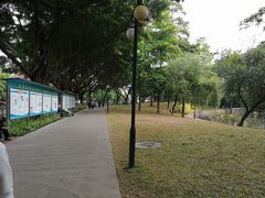 -晓港公园