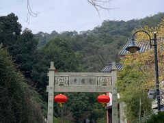 -十八棵（老龙井）御茶园(老龙井店)