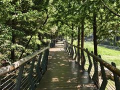 -白水寺森林公园
