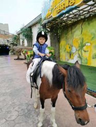 -宝燕乐园(闵行旗舰店)