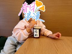 -椿树咖啡