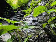 -龙门涧景区