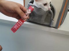 -康成宠物医院24H·CT·核磁共振