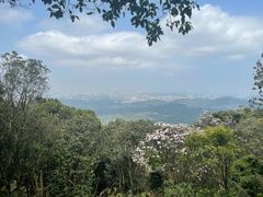 -梧桐山风景名胜区