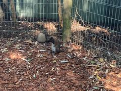 -费瑟代尔野生动物园