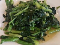 -京北渔家傲