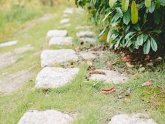 -梁鸿国家湿地公园