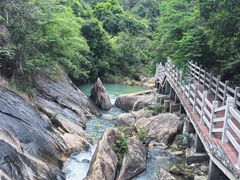 -广州白江湖森林公园