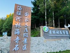 -汤旺河林海奇石景区