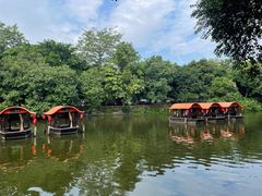 -侨美·唐荔园·40年地道粤菜