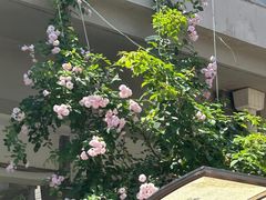 -东南大学(九龙湖校区)