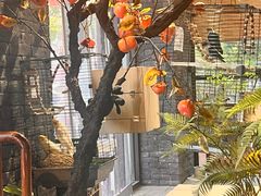 -许老八包子铺羊汤馆(绿地世纪城店)