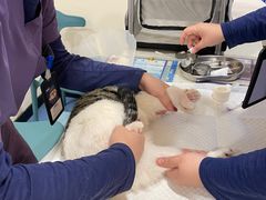 -萌兽医馆·犬猫专科·眼科中心·宠物医院(朝阳门分院)
