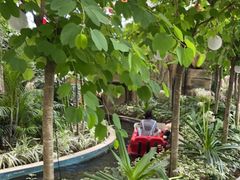 -南宫五洲植物乐园