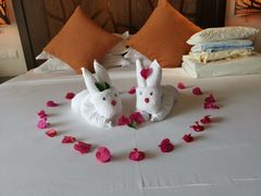 -亚马逊丛林水乐园