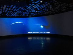 -同济大学四平路校区深海探索馆