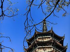 -焦山景区-万佛塔