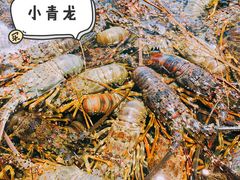 -寻味顺德·珍之宝酒楼(银钻店)