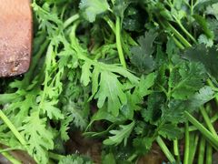 -鼎宏干锅牛肉(富城时代店)