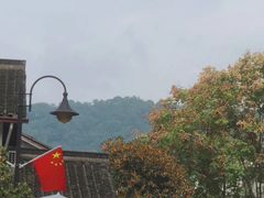 -十八棵（老龙井）御茶园(老龙井店)
