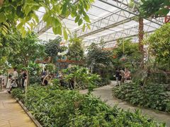 -南宫五洲植物乐园