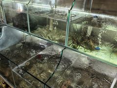 -罗源湾8号渔排