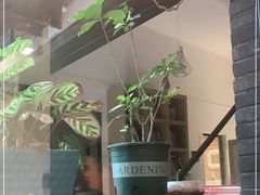 -苹果树下艺术餐厅(宋庄店)
