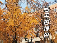 -神仙树公园