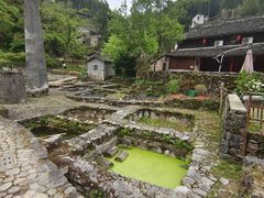 -MOJ coffee(瓯海泽雅水碓坑店)