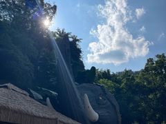 -野象谷景区