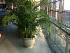 -虹桥国际机场-2号航站楼停车场