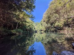 -石台牯牛降景区