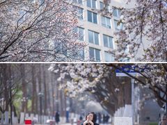 -山东师范大学(千佛山校区)