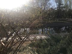 -丰台科技园生态主题公园