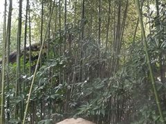 -观唐（国际）度假村温泉