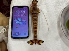 -金鮀岛潮州酒家