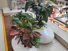 -百荣世贸商城